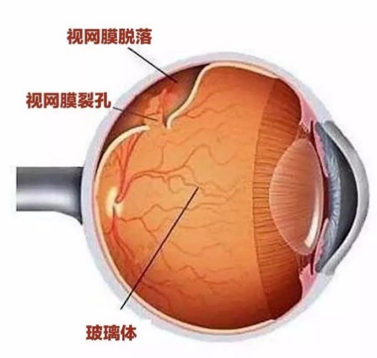 微信图片_20210222084338.png
