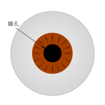 16873201783925.png