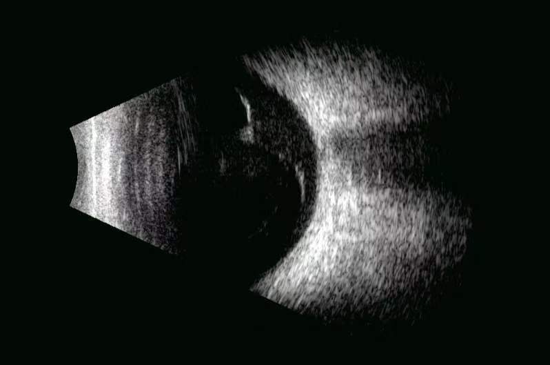 16904375104275.jpg