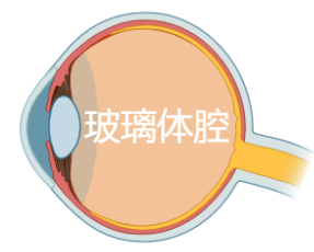 16904379876069.png