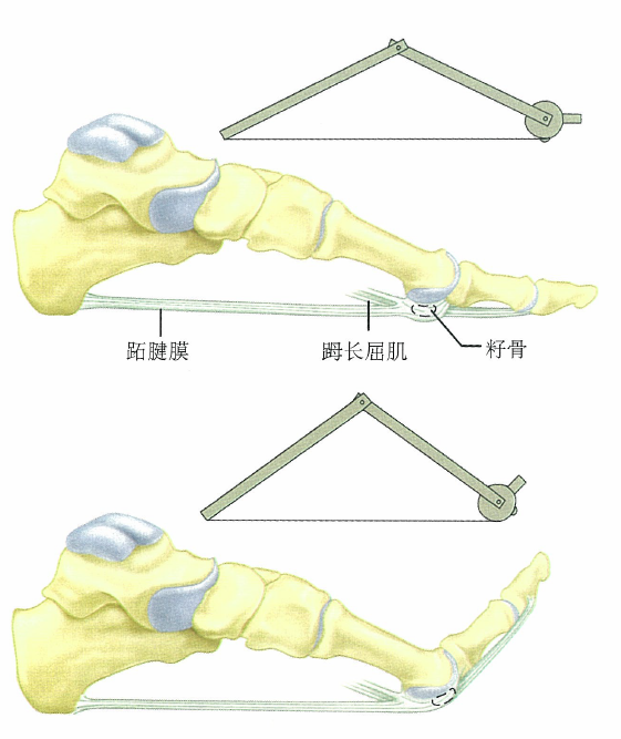 16928407168331.png