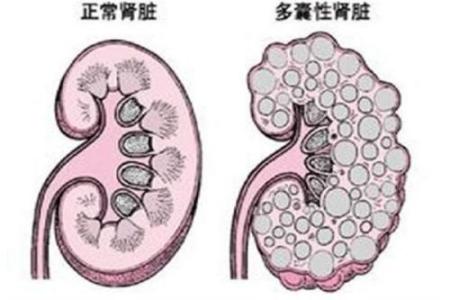 图72.jpg