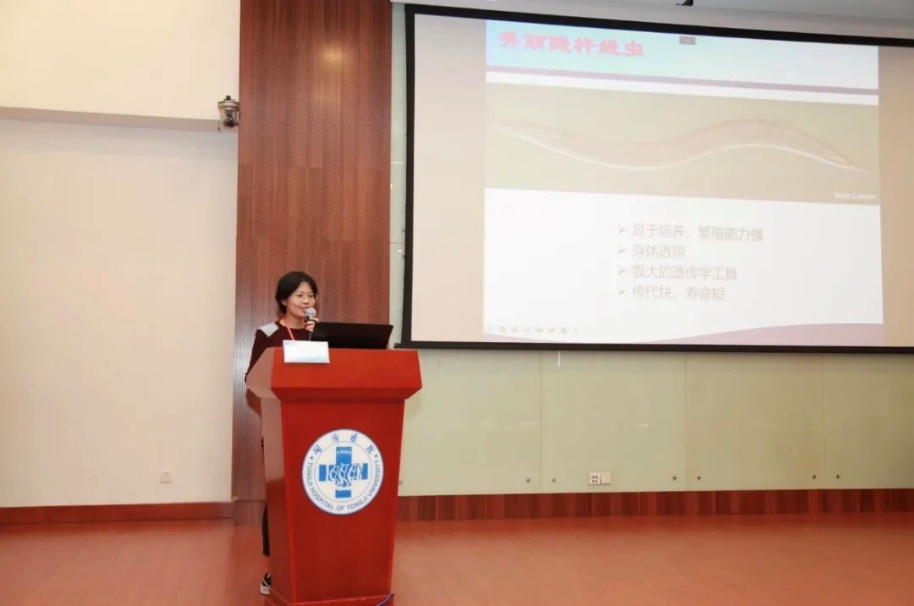 同济大学医学院秦昭教授-“利用秀丽隐杆线虫研究衰老机制”.jpg