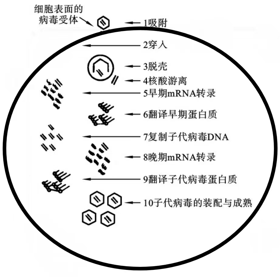 17020245423643.png