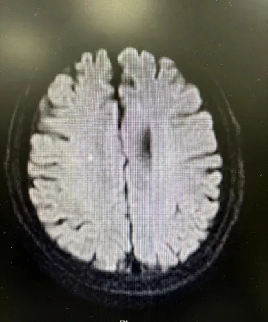 17312861421452.jpg