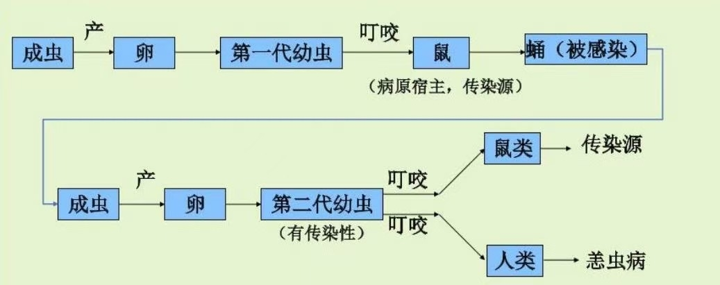 图片6.png